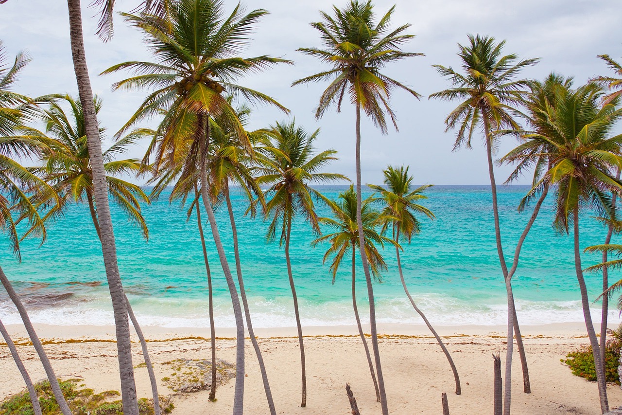 The Role of Caribbean Archaeology in Understanding Colonial History